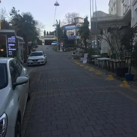 House * ترمال